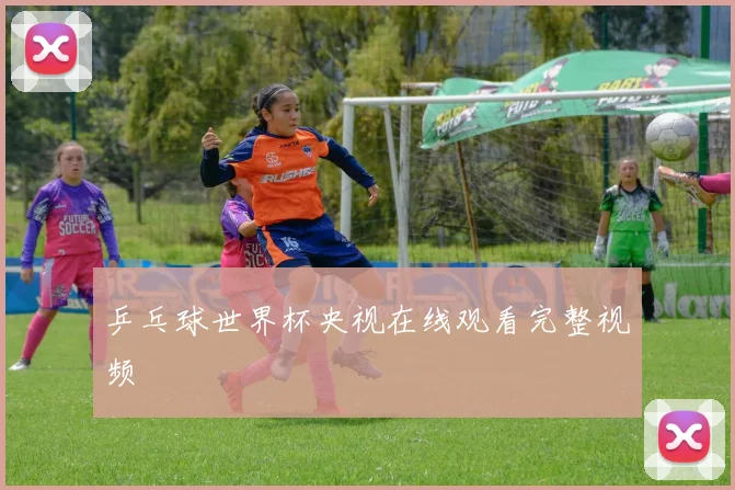 乒乓球世界杯央视在线观看完整视频