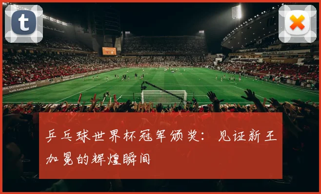 乒乓球世界杯冠军颁奖：见证新王加冕的辉煌瞬间