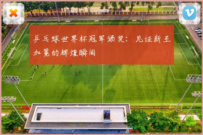 乒乓球世界杯冠军颁奖：见证新王加冕的辉煌瞬间