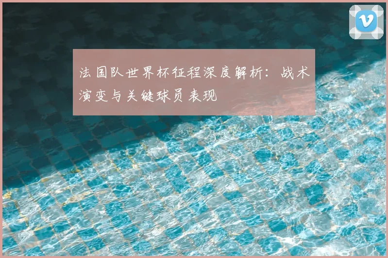 法国队世界杯征程深度解析：战术演变与关键球员表现