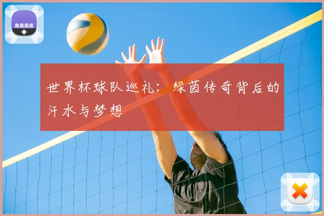 世界杯球队巡礼:绿茵传奇背后的汗水与梦想