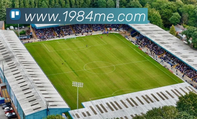 多媒体互动体验