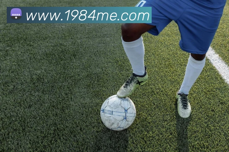 欧宝官网首页登录入口APP 高清赛事图